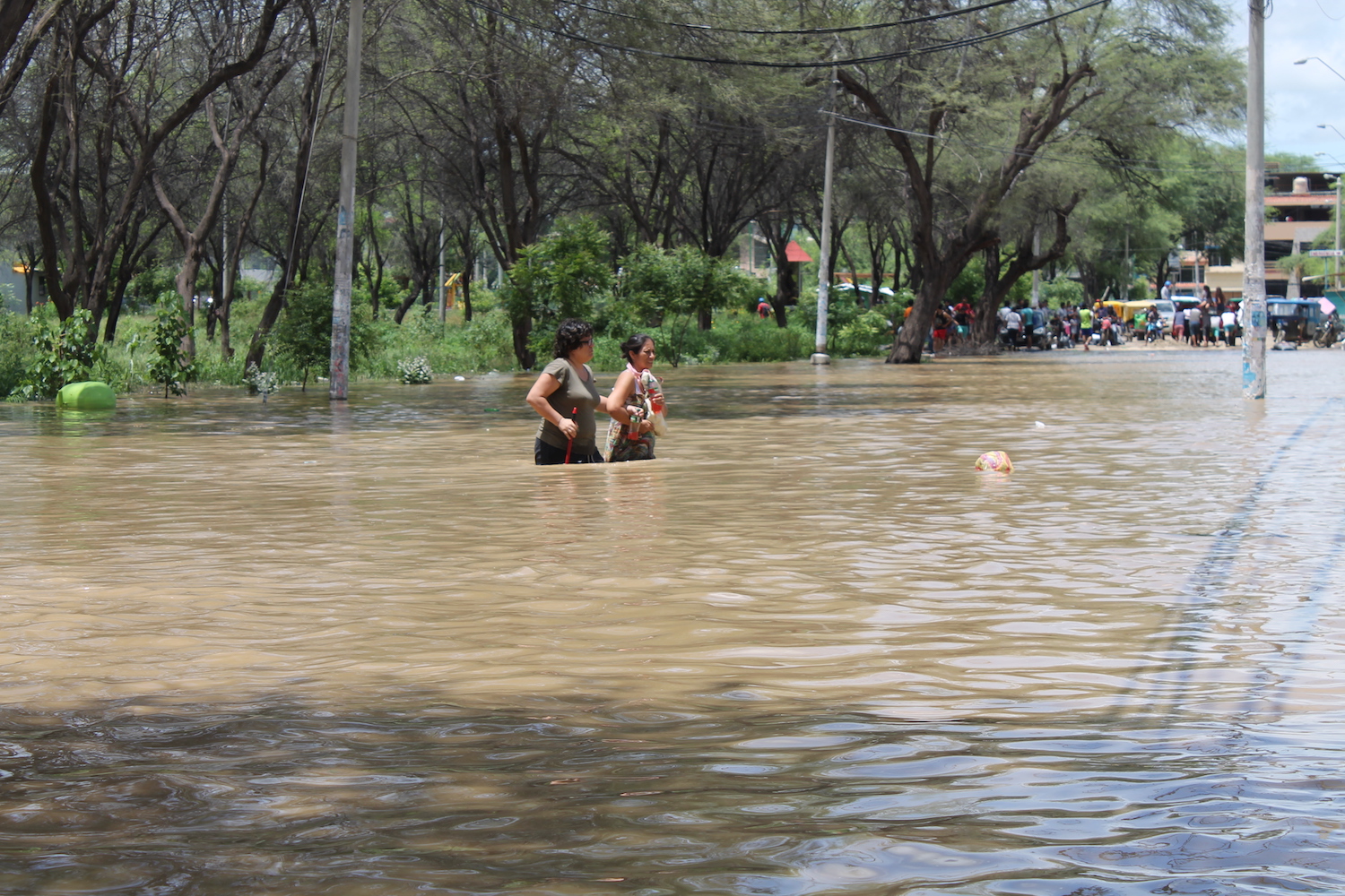 Empresas de diversos sectores continúan campañas de ayuda por el Niño Costero Empresas de diversos sectores continúan campañas de ayuda por el Niño Costero