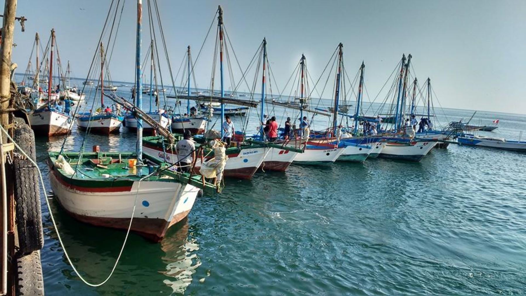 Pesca en Piura: Dirección Regional de la Producción espera formalizar toda la flota pesquera artesanal para fin de año Pesca en Piura: Dirección Regional de la Producción espera formalizar toda la flota pesquera artesanal para fin de año