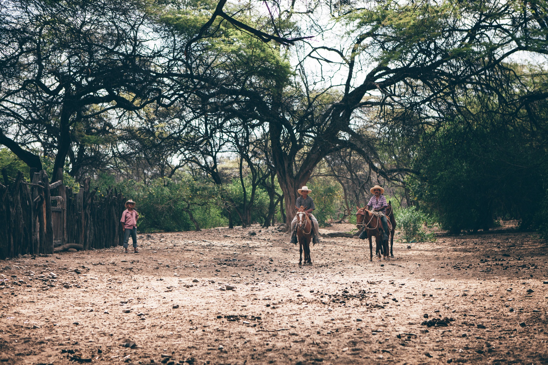 ¿Cómo poner en el mapa a una comunidad rural de Piura? ¿Cómo poner en el mapa a una comunidad rural de Piura?