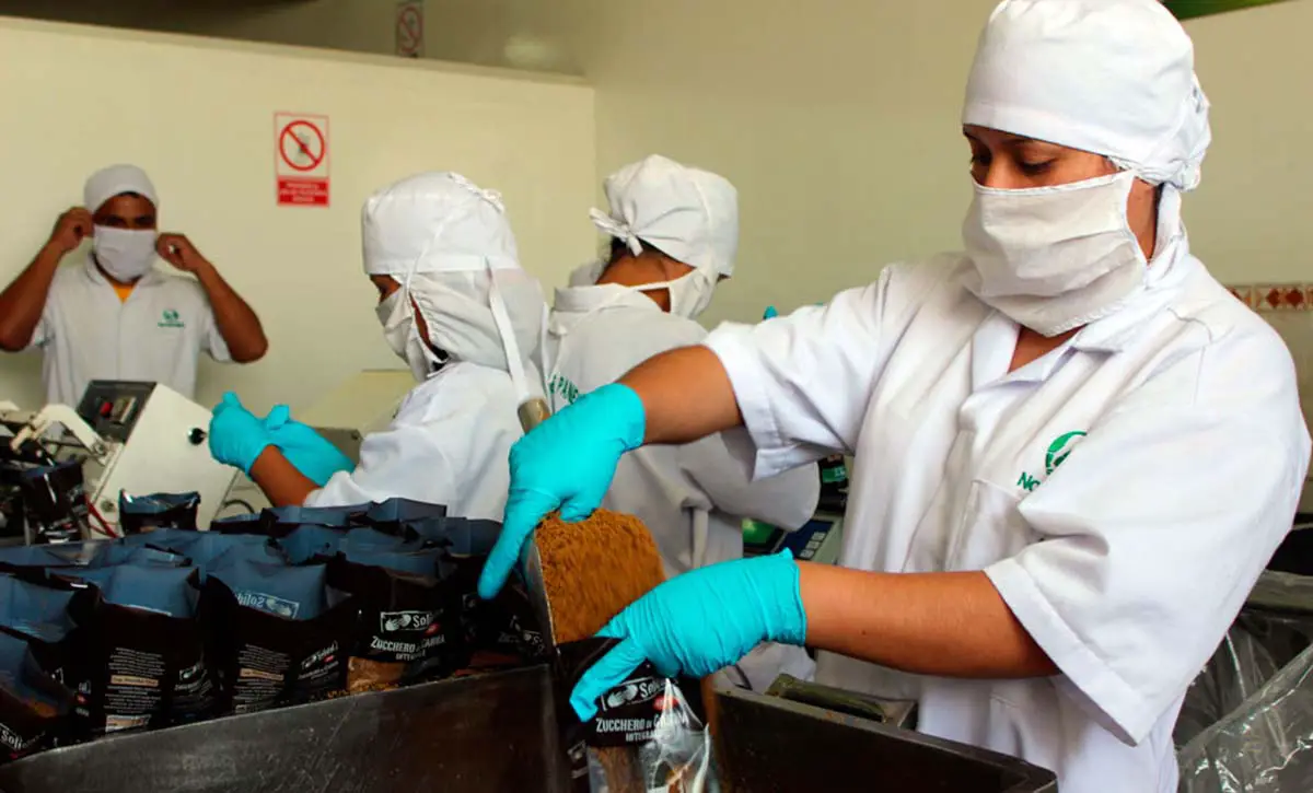 Panela granulada: Piura exporta más de 1500 toneladas cada año Panela granulada: Piura exporta más de 1500 toneladas cada año
