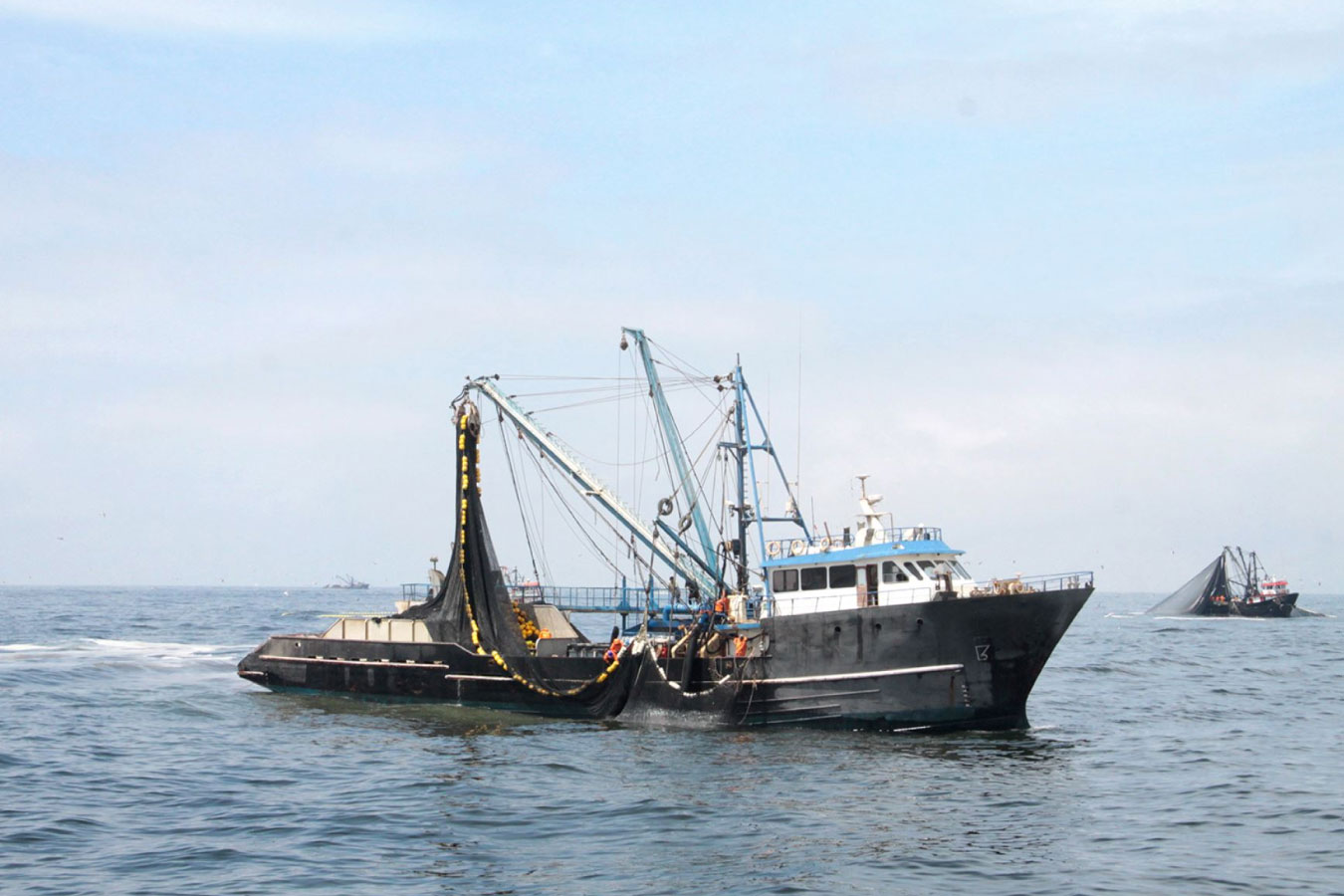 Produce: finaliza la temporada de pesca de anchoveta