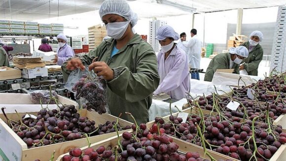 Guerra entre Rusia y Ucrania: lanzan página web para ayudar a empresas peruanas