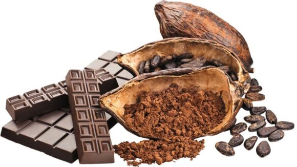 Choco Premium con mira al mercado de Corea del Sur y luego a Nueva Zelanda 25/11/2019
