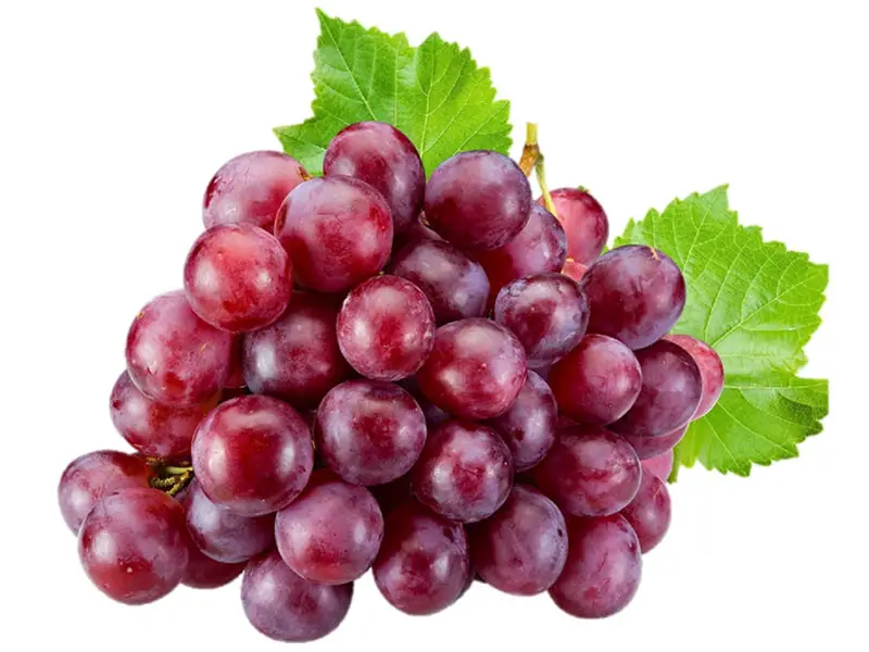 Ecological Corporation: Uvas cultivadas en Piura llegarán a China y Corea