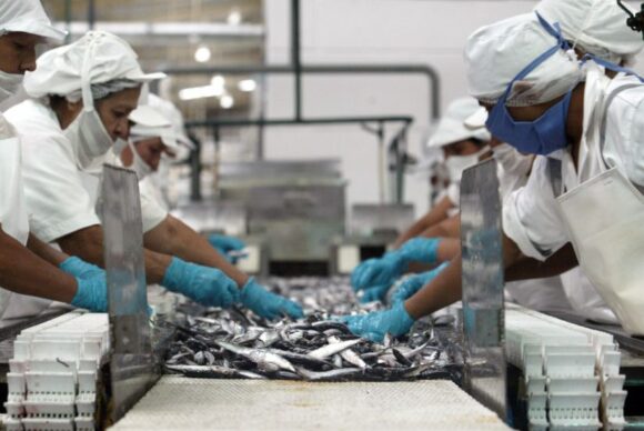empleo en piura