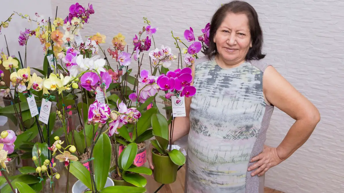 Emprendimiento Piura | El Hogar de las Orquídeas: Nunca es tarde para  emprender - Infomercado