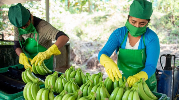 Exportaciones