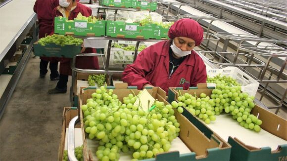 exportaciones a rusia