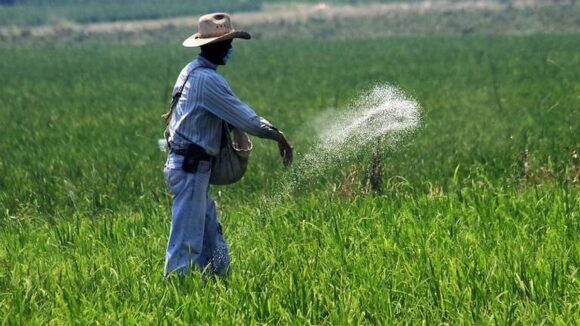 Entrega de fertilizantes