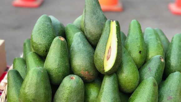 palta