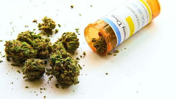 Uso de cannabis