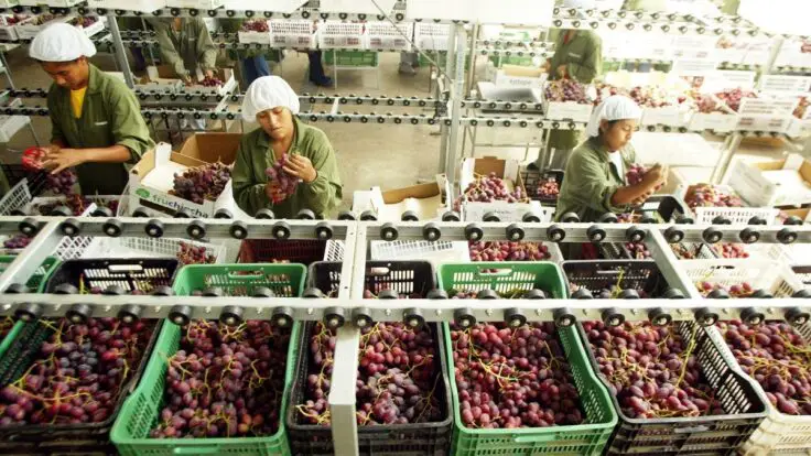 Alimentos