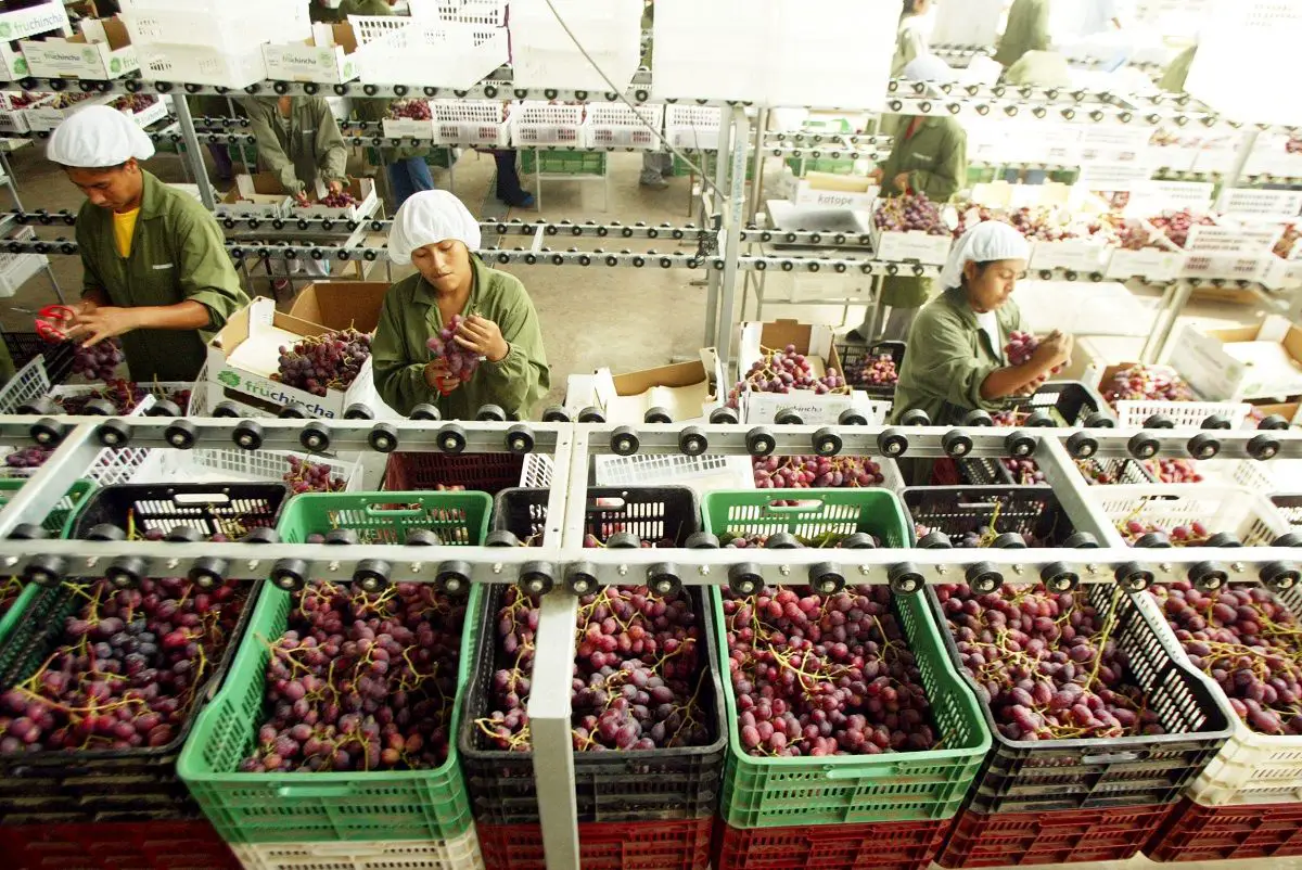 Alimentos