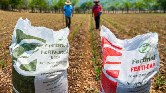 MF Fertilizantes