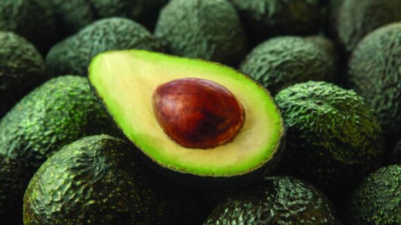 Avocados from Peru inició campaña junto a grandes empresas como Tesla