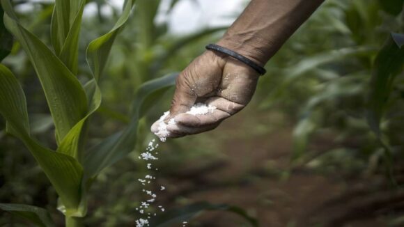 Campaña agrícola
