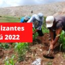Fertilizantes Perú 2022: Audios revelarían una coima de US$8 millones en licitación hecha por AgroRural
