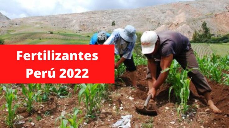 Fertilizantes Perú 2022: Audios revelarían una coima de US$8 millones en licitación hecha por AgroRural