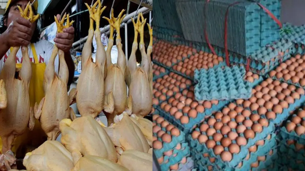 Piura: precio del pollo y huevo se incrementó considerablemente