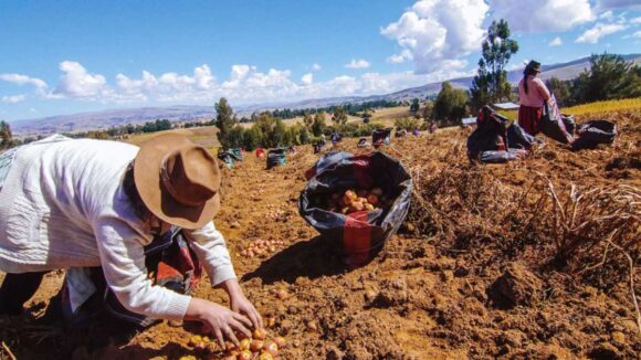 Pequeños productores