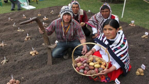 Producción