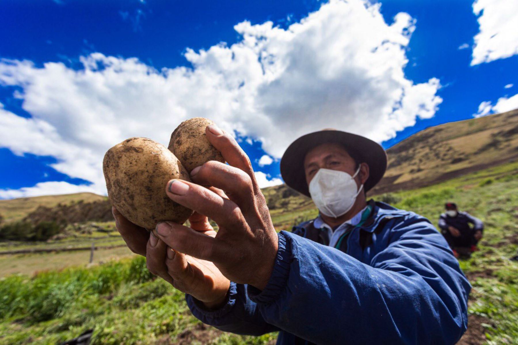 Bono Alimentario 2022 Perú Link Oficial