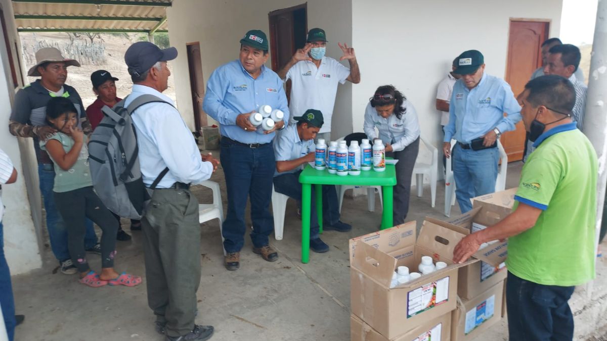 Piura: productores Ayabaquinos reciben 66 kits de abono foliar para reforzar cultivos
