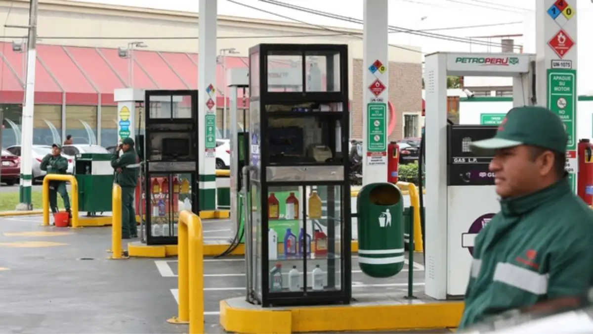 Combustibles