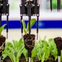 Investigadores trujillanos crean robot que optimiza la siembra de semillas en la agroindustria