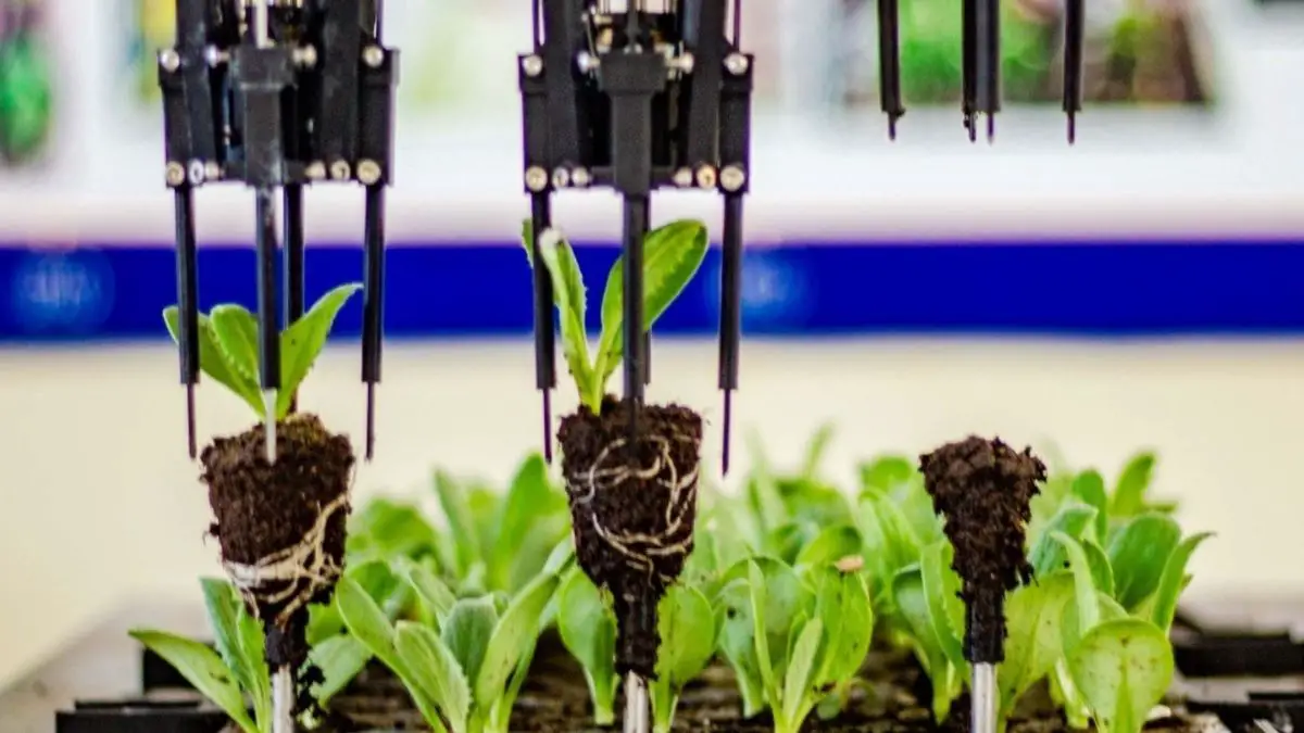 Investigadores trujillanos crean robot que optimiza la siembra de semillas en la agroindustria