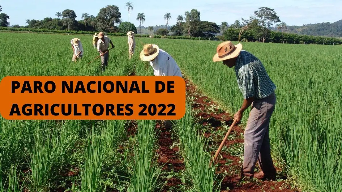 Paro nacional de Agricultores 2022: cuándo será, quiénes lo acatarán, dónde habrá bloqueos y cuáles son sus exigencias?