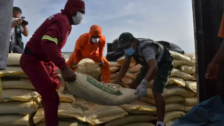 Abono orgánico: 1,200 sacos de guano de islas serán vendidos a agricultores del medio y bajo Piura