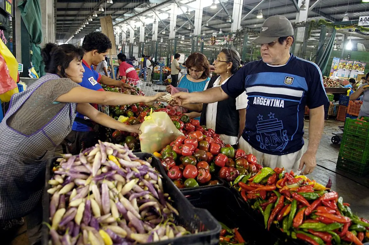 Consultar el Bono Alimentario 2022 en el link oficial