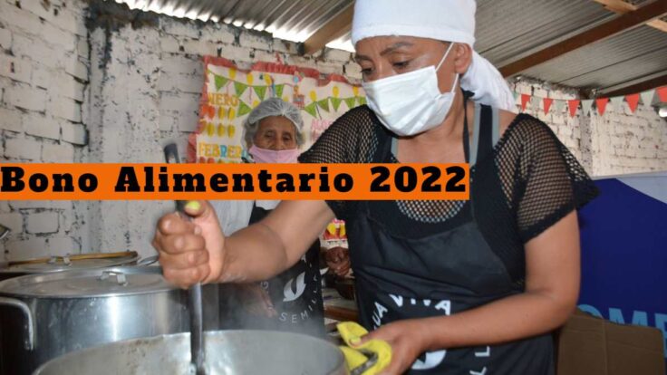 Bono Alimentario LINK 2022