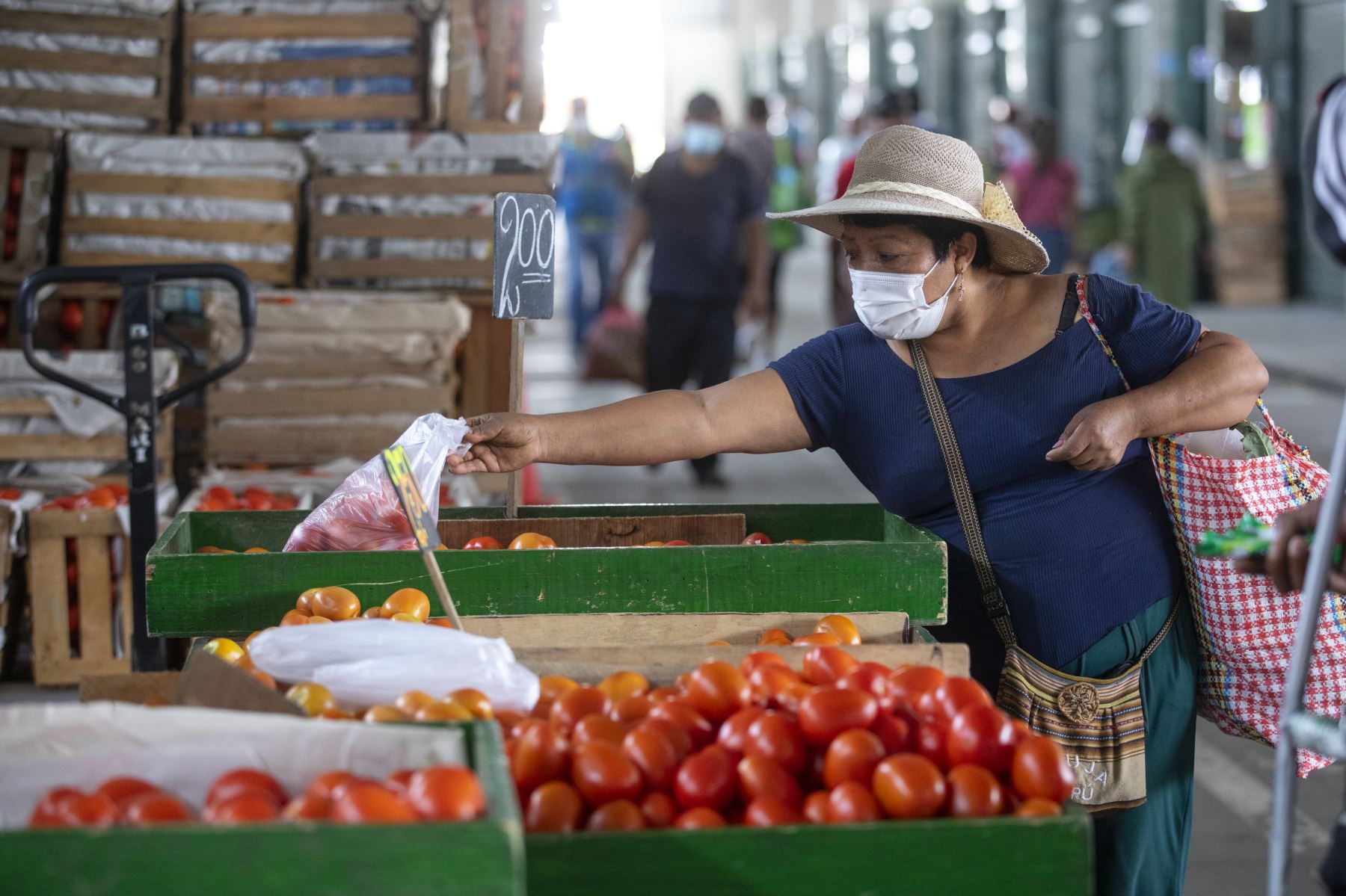 Bono Alimentario link 2022