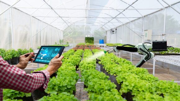 agroindustria