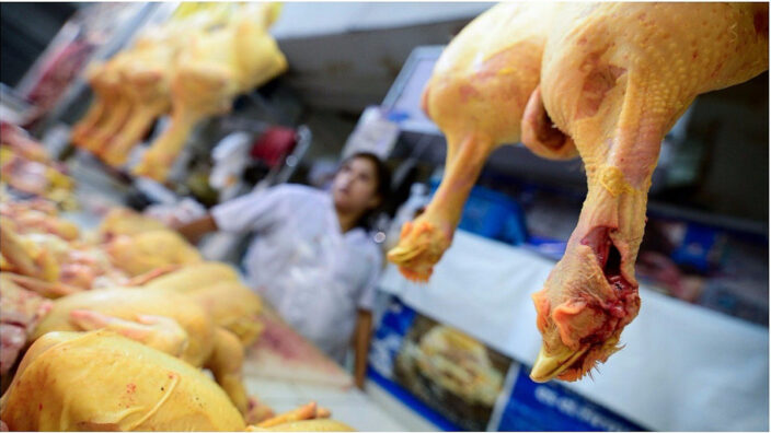 Carne avícola