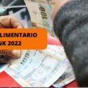 Bono Alimentario LINK 2022: ¿quiénes lo podrán cobrar este 15 de agosto?
