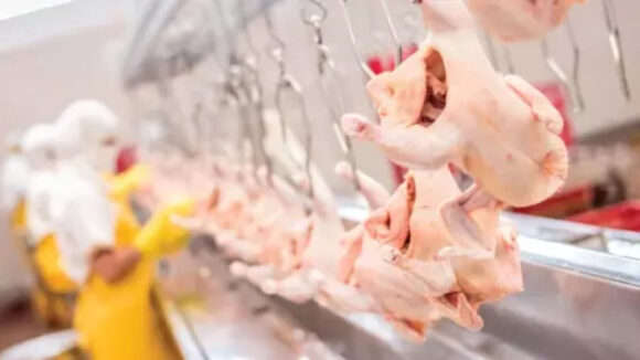 Precio del pollo