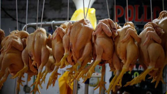 Precio del pollo