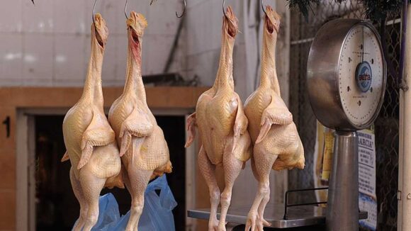 Precio del pollo