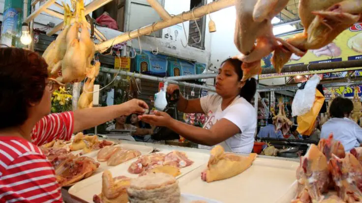 Precio del pollo