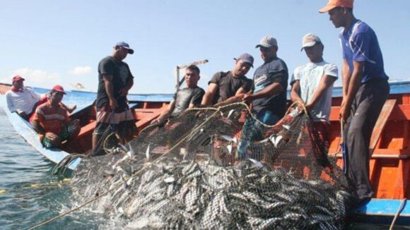 pesca