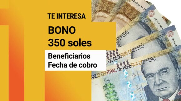 BONO ONP 350 soles LINK consultar con DNI