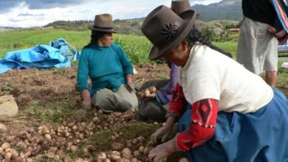 Mujeres agrícolas