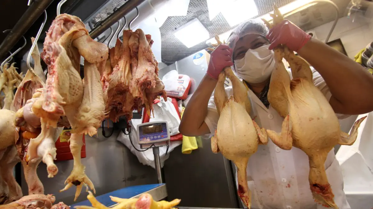 precio del pollo