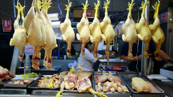 Precio del kilo de pollo eviscerado