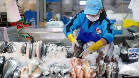 pesca
