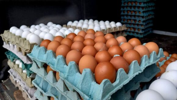 APA PONLE HUEVOS A TU VIDA