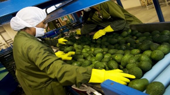 agroexportación